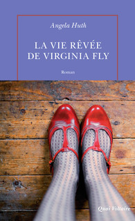 la-vie-revee-de-v-fly